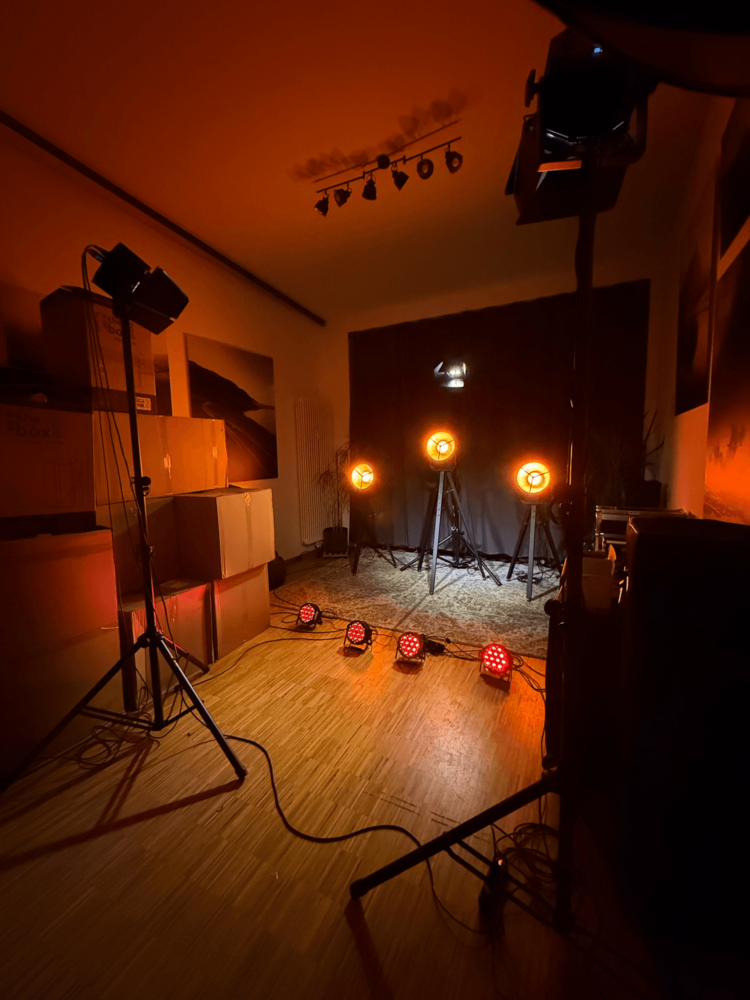 Lichttechnik in der The malamute Bar&Gallery