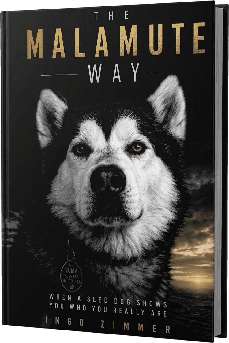 Das Buch THE MALAMUTE WAY von Ingo Zimmer – gebundene Ausgabe mit Malamute auf dem Cover.